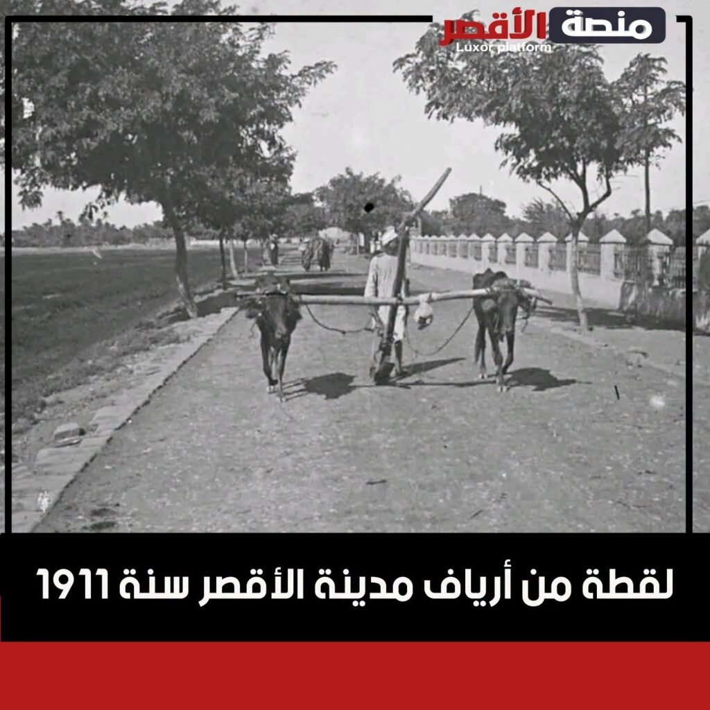 لقطة من أرياف مدينة الأقصر سنة 1911