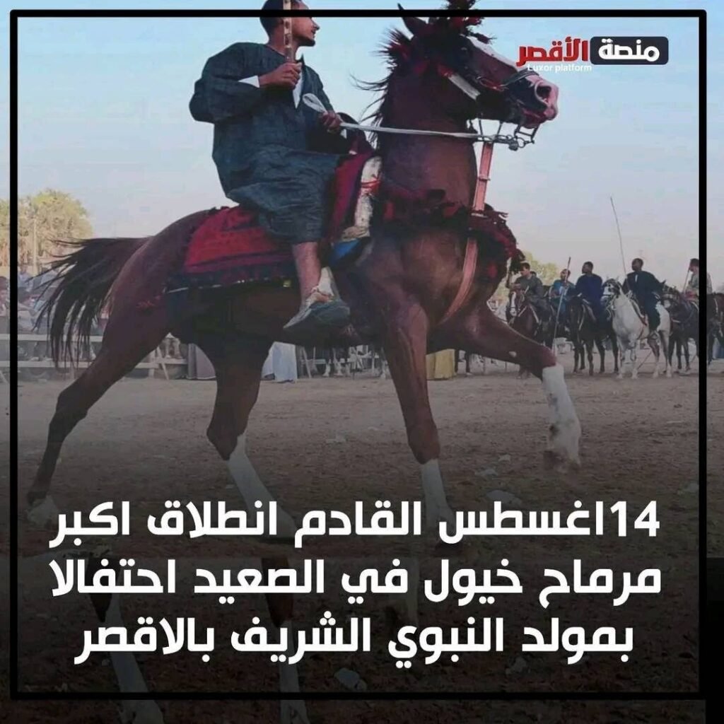 اقترب اكبر احتفال في الصعيد بالمولد النبوي الشريف في الاقصر ـ منشاة العماري 