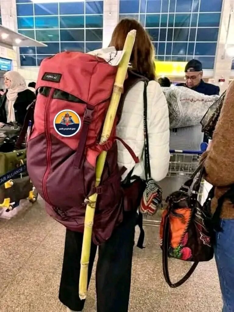 التقطت صورة لطيفة لسائحة بمطار الأقصر وهي تحمل عود قصب